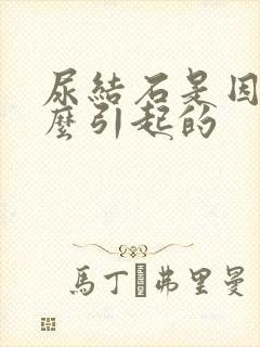 尿结石是因为什么引起的