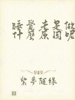 睡觉老是做梦是什么原因呢封面