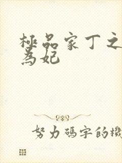 极品家丁之册母为妃