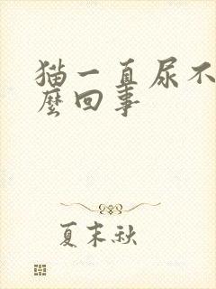 猫一直尿不停怎么回事封面