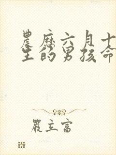 农历六月十六出生的男孩命运封面