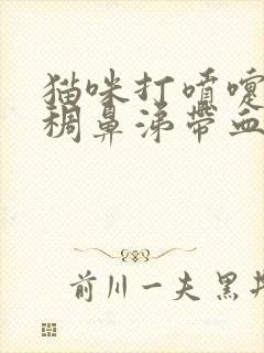 猫咪打喷嚏流浓稠鼻涕带血封面