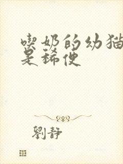 吃奶的幼猫拉黄是稀便封面