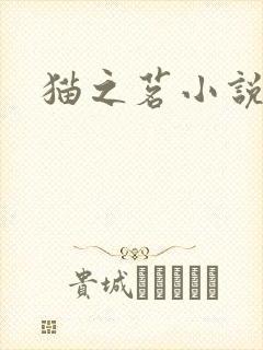 猫之茗小说