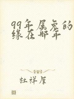 99年属兔的姻缘在哪年