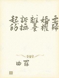 起诉离婚要孩子的抚养权归谁封面