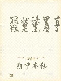 冠状沟里有小肉粒是怎么了