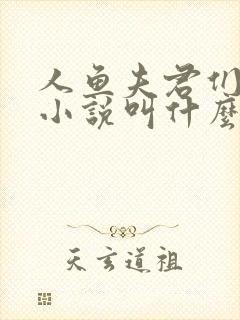 人鱼夫君们原著小说叫什么名字封面