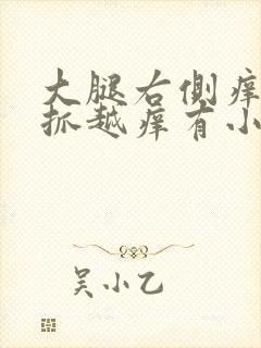 大腿右侧痒痒越抓越痒有小红疙瘩