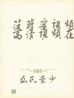 菠萝蜜视频免费高清视频在线观看