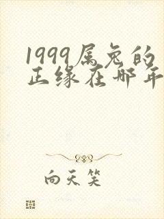 1999属兔的正缘在哪年出现