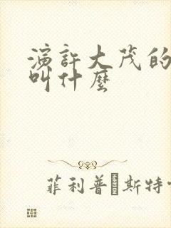 演许大茂的演员叫什么封面