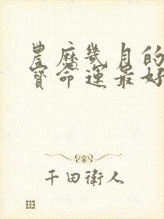 农历几月的兔宝宝命运最好