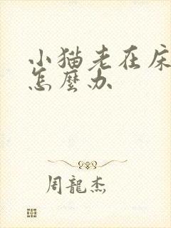 小猫老在床上尿怎么办