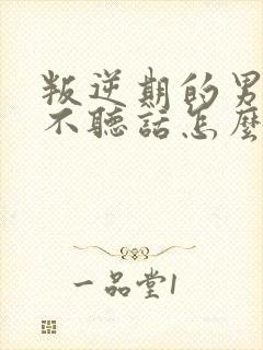 叛逆期的男孩子不听话怎么去沟通