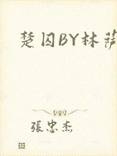 楚囚BY林萨封面