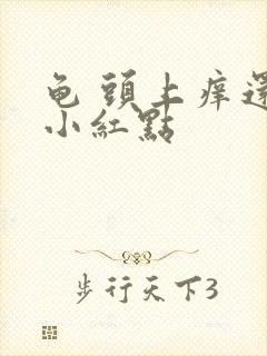 龟 头上痒还有小红点封面