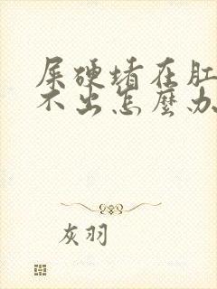 屎硬堵在肛门拉不出怎么办封面