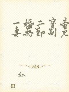 一婚二宝帝少宠妻无节制免费阅读封面