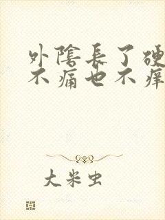 外阴长了硬疙瘩不痛也不痒