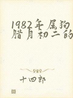 1982年属狗腊月初二的的命运