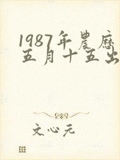1987年农历五月十五出生的人命运女孩封面