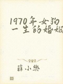 1970年女狗一生的婚姻及命运封面