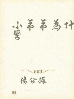 小弟弟为什么会弯封面