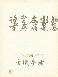 后背左侧肋骨下方疼痛是怎么回事封面