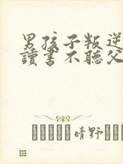 男孩子叛逆不想读书不听父母话封面