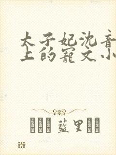 太子妃沈音和皇上的宠文小说