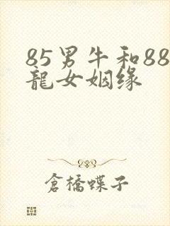 85男牛和88龙女姻缘