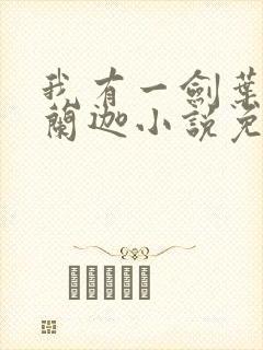 我有一剑叶观纳兰迦小说免费全集