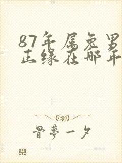 87年属兔男的正缘在哪年