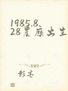 1985.8.28农历出生的人命运