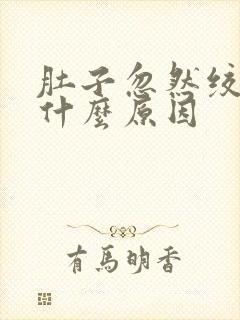 肚子忽然绞痛是什么原因