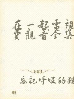 在一起电视剧免费观看全集完整版