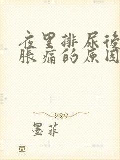 夜里排尿后小腹胀痛的原因