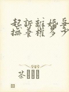 起诉离婚争孩子抚养权多少钱