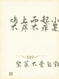 鸡上面起小疙瘩不疼不痒是怎么回事