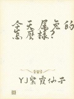 今天属兔的财运怎么样?