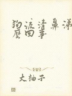 狗流清鼻涕是怎么回事