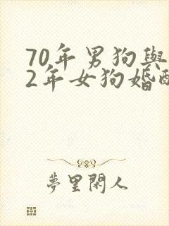 70年男狗与82年女狗婚配