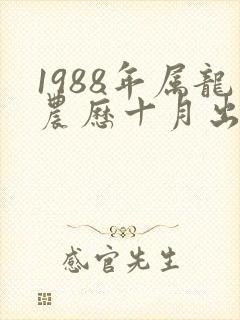 1988年属龙农历十月出生的命运