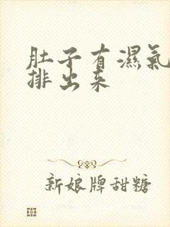 肚子有湿气怎么排出来封面