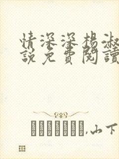 情深深杨淑珍小说免费阅读最新章节