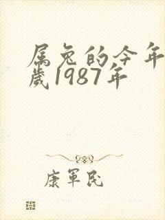 属兔的今年多少岁1987年