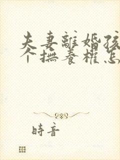 夫妻离婚孩子两个抚养权怎么判定