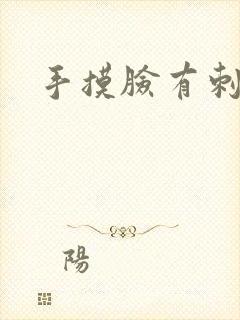 手摸脸有刺痛感封面