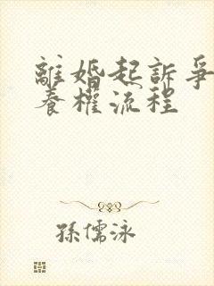 离婚起诉争夺抚养权流程